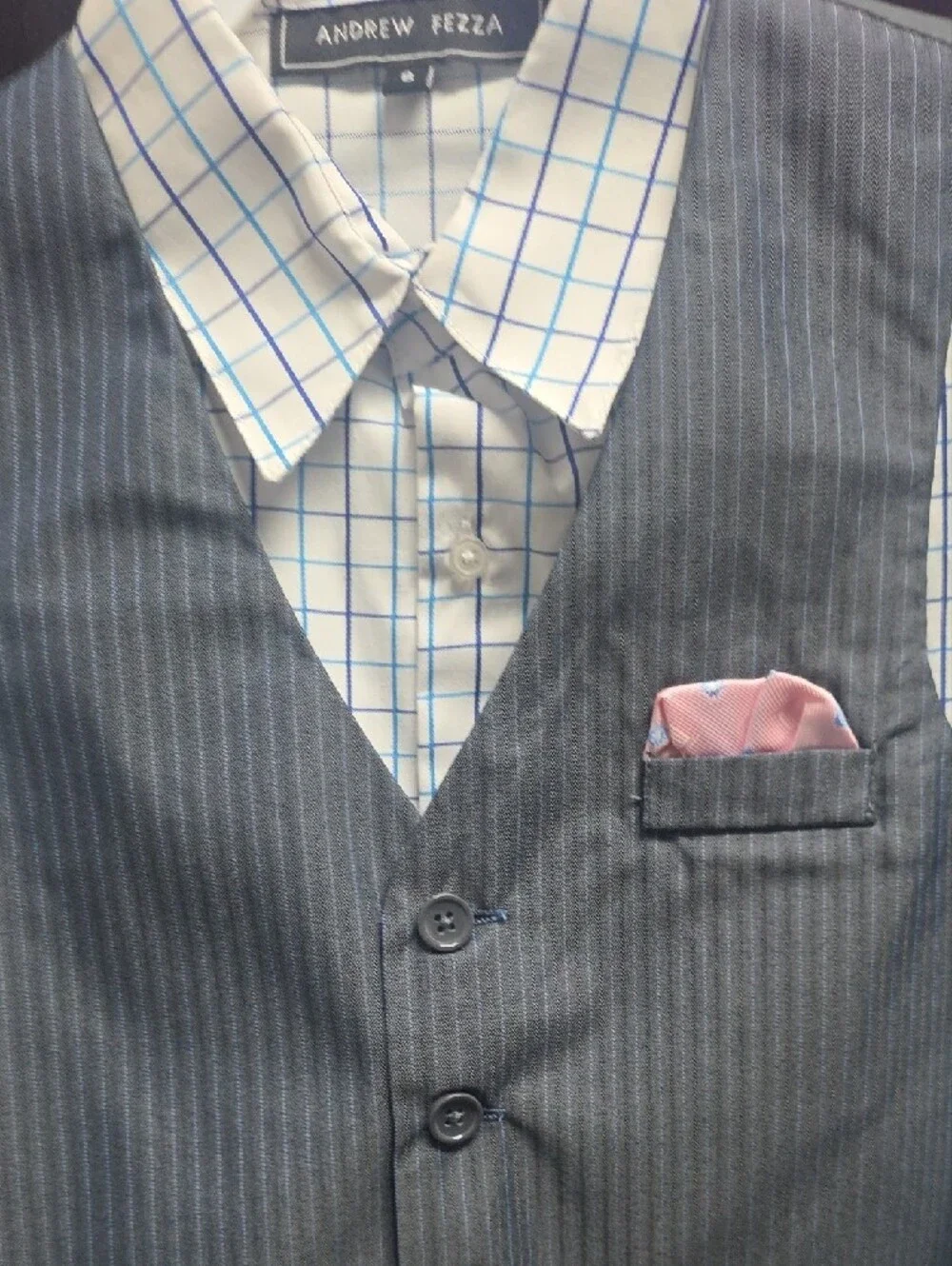 Andrew Fezza Boys' Gray Pinstriped Vest & Pants Set with Pink Pocket Square